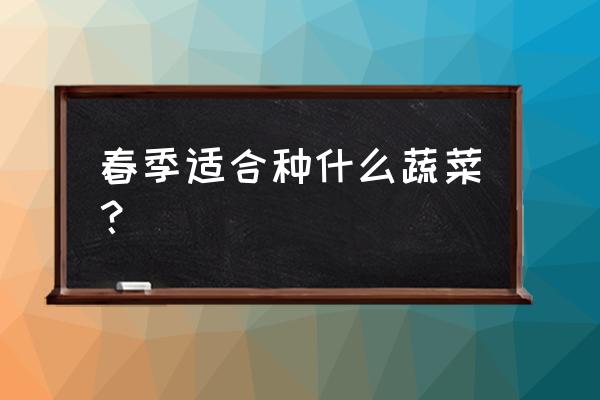 盆栽荆芥什么时候种最合适 春季适合种什么蔬菜？