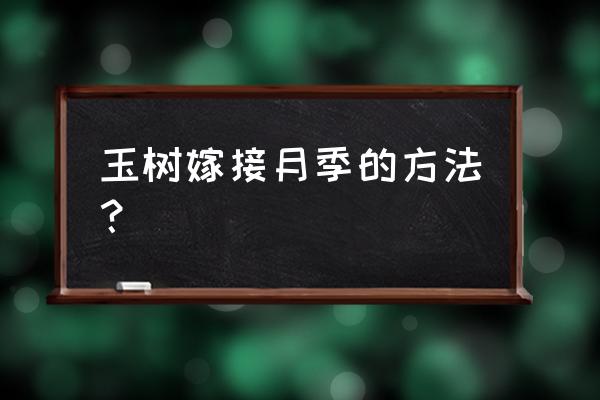 树状月季是怎么嫁接的 玉树嫁接月季的方法？