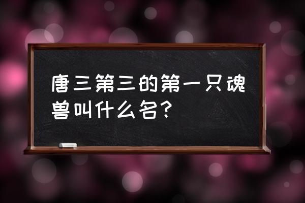 唐30大魂环最详细介绍 唐三第三的第一只魂兽叫什么名？