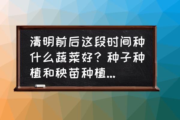 毛豆怎样整枝提高产量 清明前后这段时间种什么蔬菜好？种子种植和秧苗种植效果一样吗？