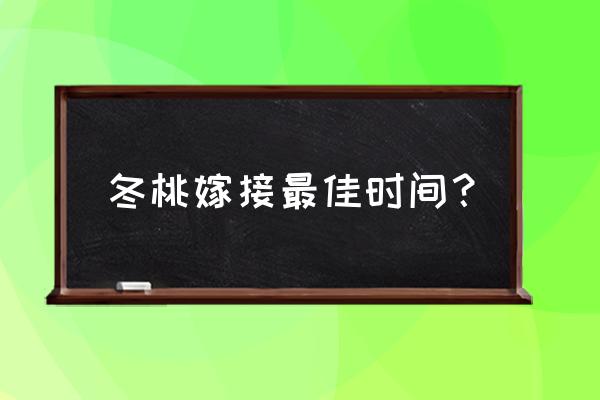 芽接最佳时间和方法 冬桃嫁接最佳时间？