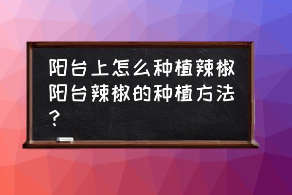 阳台种植朝天椒需要注意什么 阳台上怎么种植辣椒阳台辣椒的种植方法？