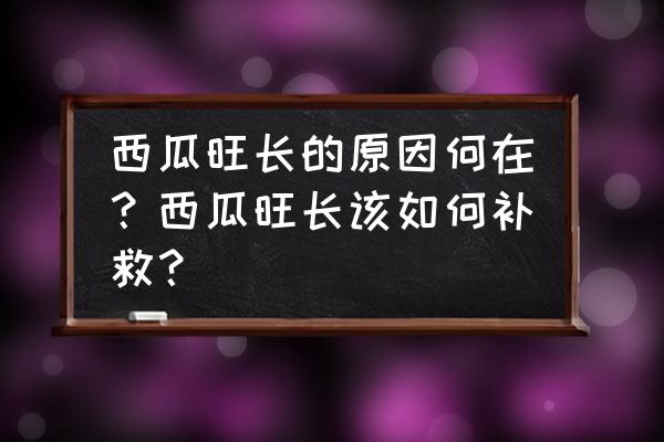 怎么让西瓜苗长得更旺 西瓜旺长的原因何在？西瓜旺长该如何补救？