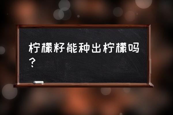 柠檬籽怎么种才能发芽 柠檬籽能种出柠檬吗？