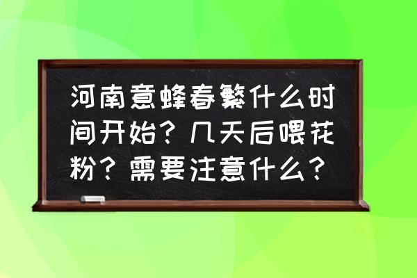 意蜂夏天治螨的最好办法 河南意蜂春繁什么时间开始？几天后喂花粉？需要注意什么？