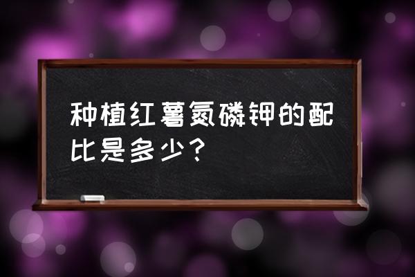 红薯在室内种植叶子怎么长得旺 种植红薯氮磷钾的配比是多少？