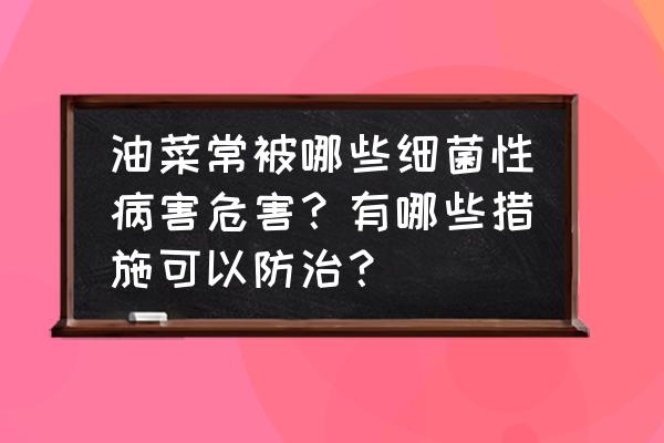 小油菜病虫害有哪些怎么防治 油菜常被哪些细菌性病害危害？有哪些措施可以防治？