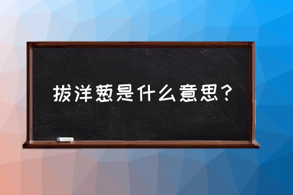 洋葱上面的葱苗叫什么 拔洋葱是什么意思？