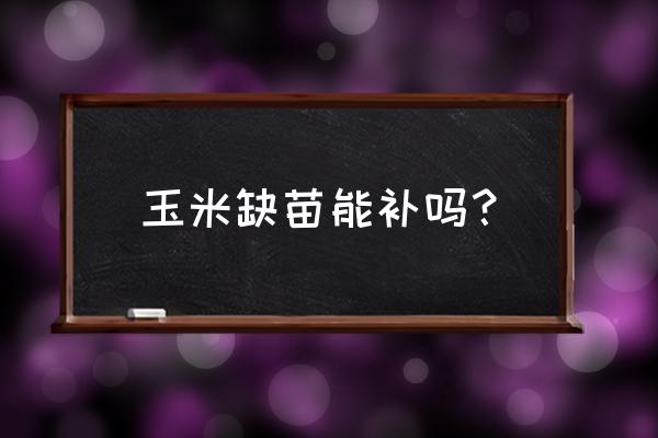 玉米缺苗最快解决方法 玉米缺苗能补吗？