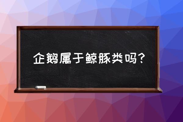 海洋之舟是以下哪种动物的 企鹅属于鲸豚类吗？