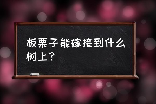 栗子树用什么树嫁接最好 板栗子能嫁接到什么树上？