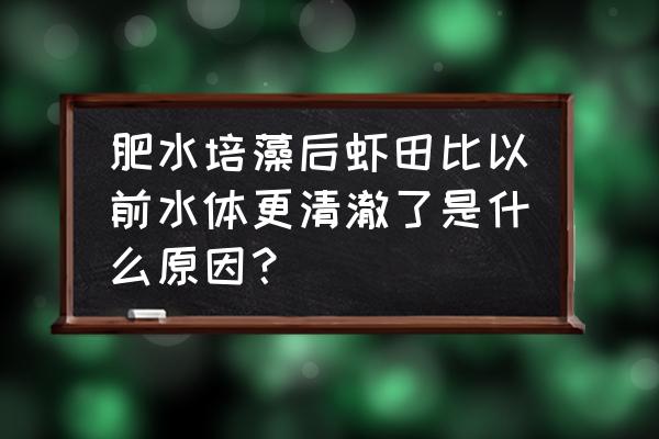 冬天虾田里有青苔怎么办 肥水培藻后虾田比以前水体更清澈了是什么原因? 冬天虾田里有青苔怎么办 肥水培藻后虾田比以前水体更清澈了是什么原因?