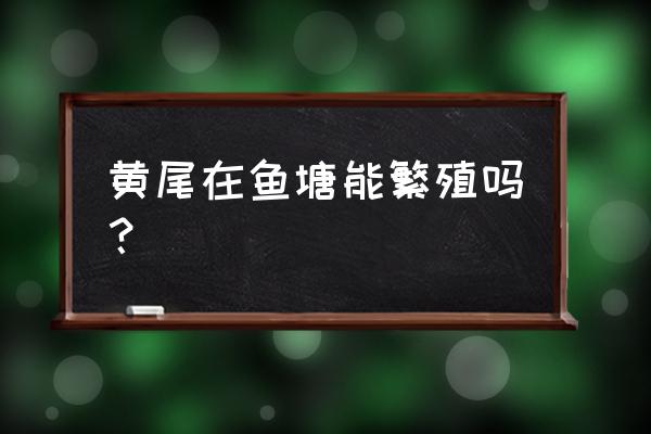 鱼塘升级最佳设计图 黄尾在鱼塘能繁殖吗? 鱼塘升级最佳设计图 黄尾在鱼塘能繁殖吗?