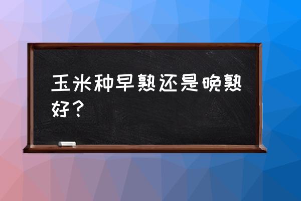 玉米早中晚哪个时段吃最好 玉米种早熟还是晚熟好? 玉米早中晚哪个时段吃最好 玉米种早熟还是晚熟好?