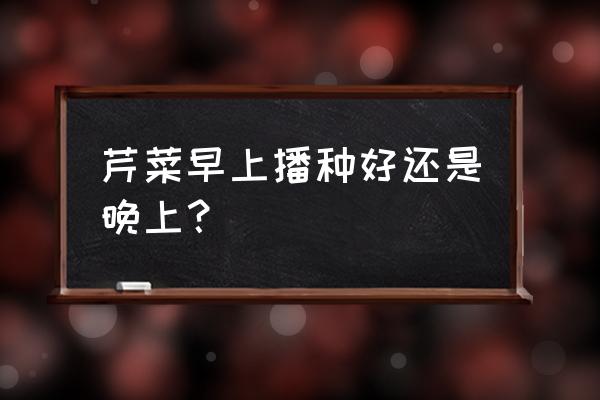 种芹菜的方法全过程和时间 芹菜早上播种好还是晚上？
