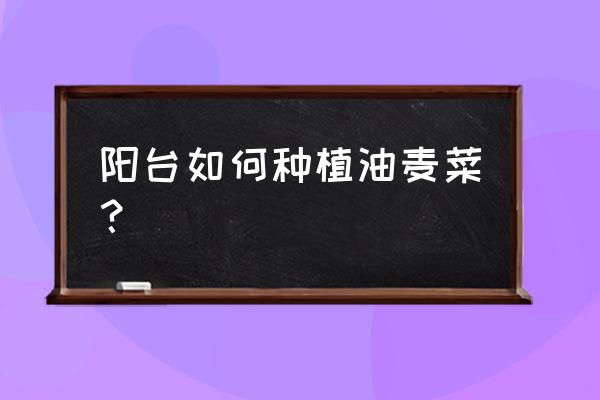 阳台种油麦菜的方法和步骤 阳台如何种植油麦菜? 阳台种油麦菜的方法和步骤 阳台如何种植油麦菜?