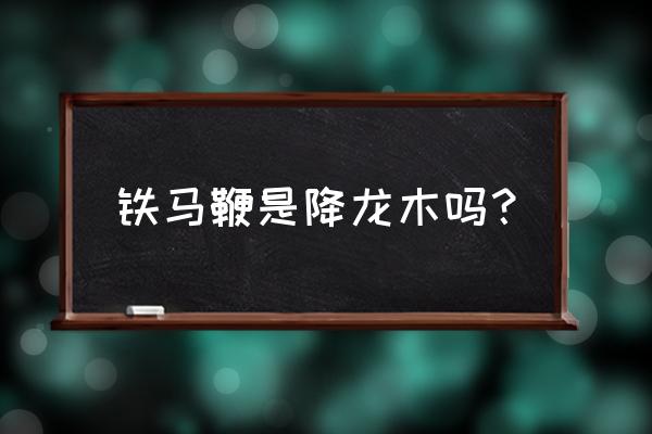 野生木瓜树图片及名称 铁马鞭是降龙木吗？