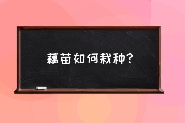 种植的莲藕怎么才能长得好 藕苗如何栽种？