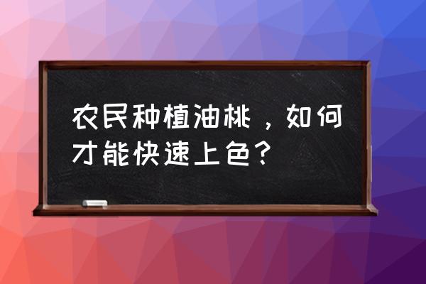 油桃种植方法和注意事项 农民种植油桃，如何才能快速上色？